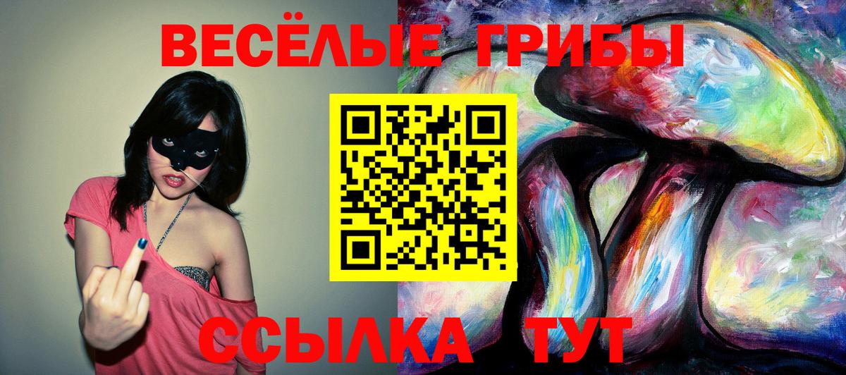 Псилоцибиновые грибы MAGIC MUSHROOMS  Вход с VPN  Железногорск 
